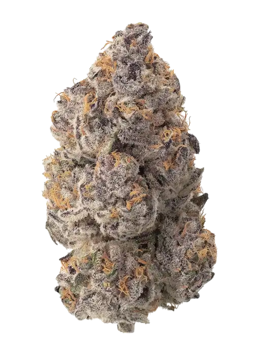 Pina Colada by Beleaf