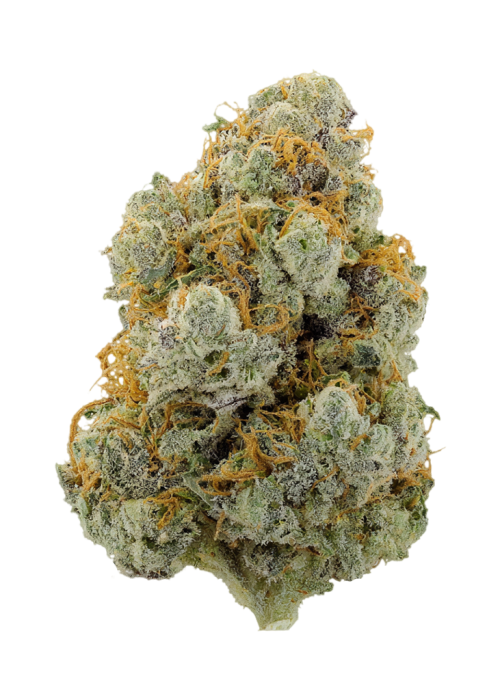 Watermelon Punch by Party Time Farms