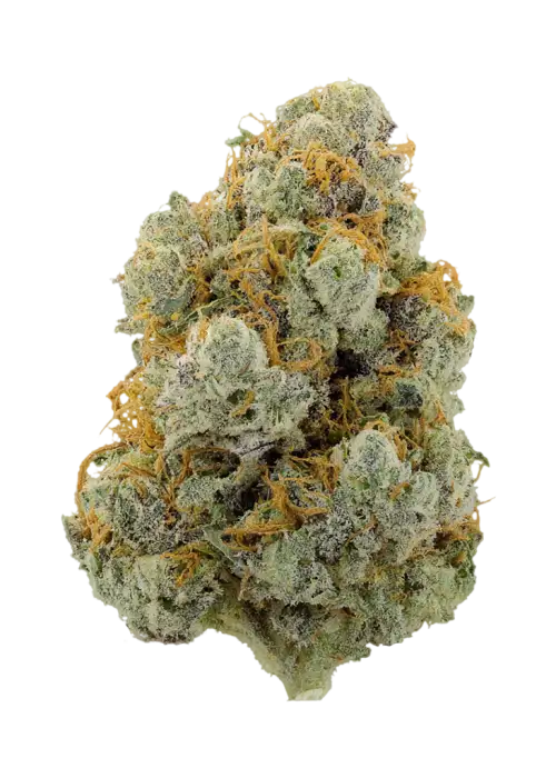 Watermelon Punch by Party Time Farms