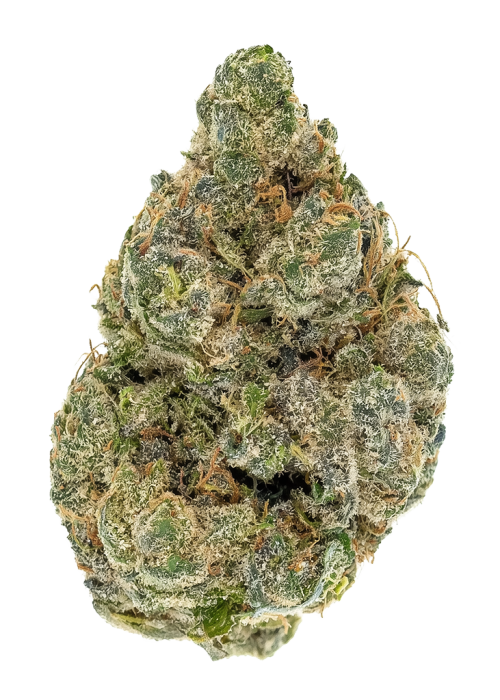 Triple Thin Mint