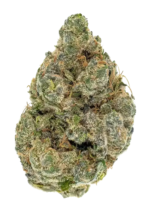 Triple Thin Mint