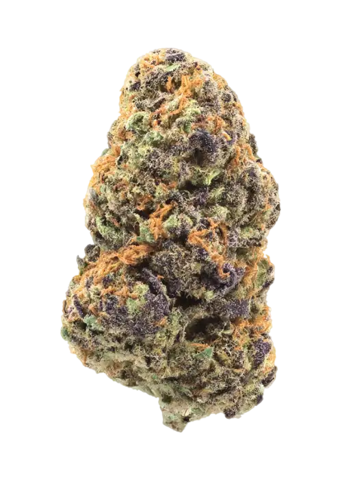 Purple Frosted Girl Scout Cookie