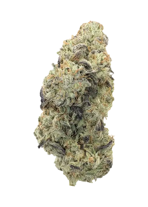 Sour Cookie by Atlas Seed