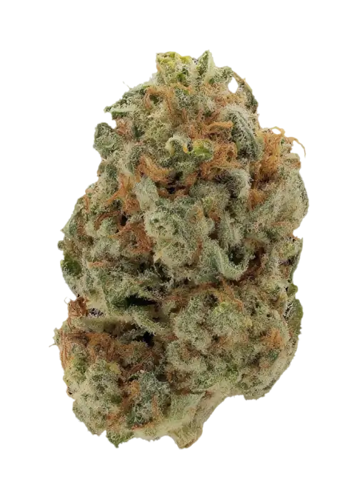 Strawberry Banana Kush by Atlas Seed