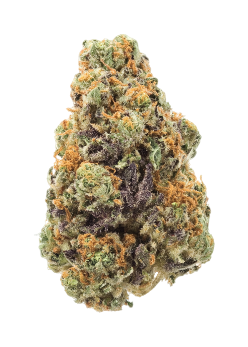 Purple Bazooka by Atlas Seed