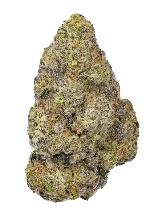 Limon Blanco V1
