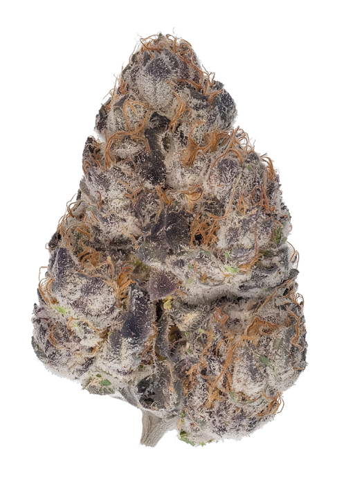 Frosty’s Purple Freak