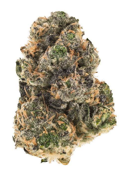 Major Leauge Chew By Craft Farmer