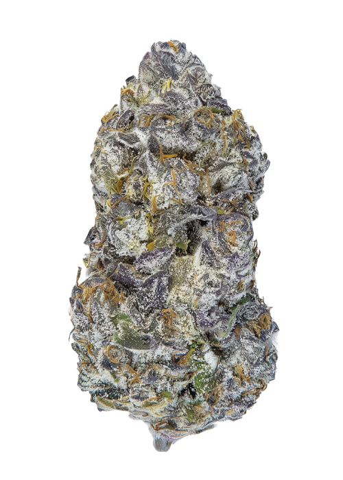 Lemon Cherry Delight