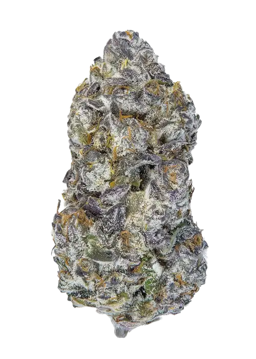 Lemon Cherry Delight