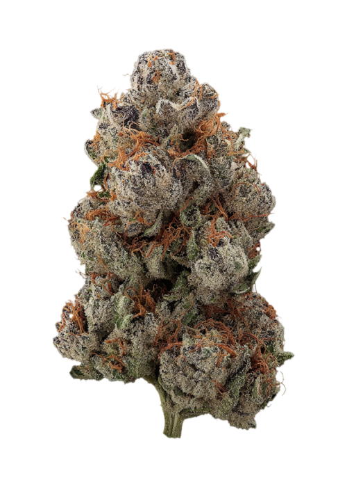 Ruby Reserve