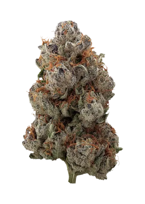 Ruby Reserve