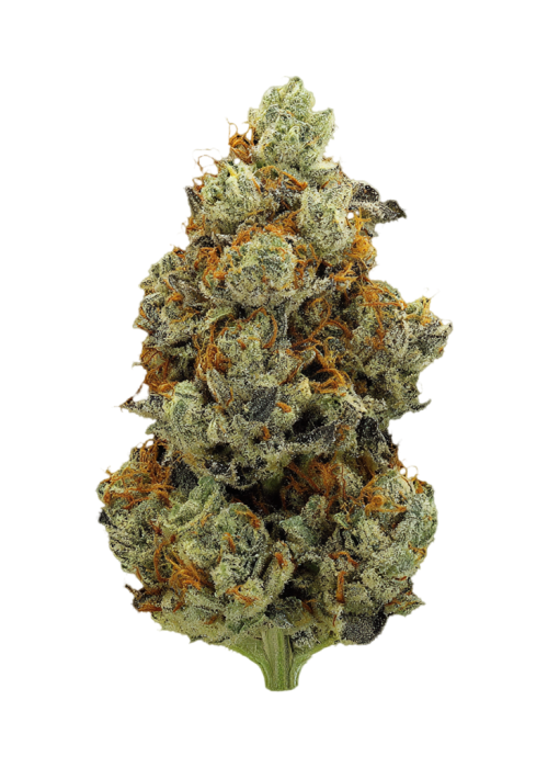 Sour Samurai