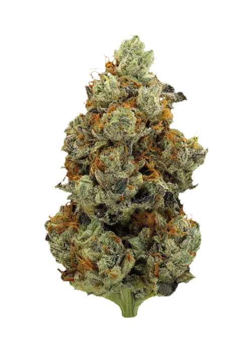 Sour Samurai
