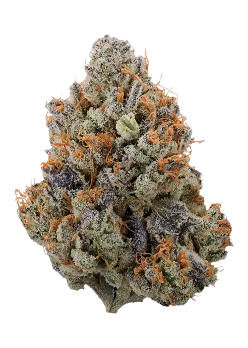 Z-Bubble
