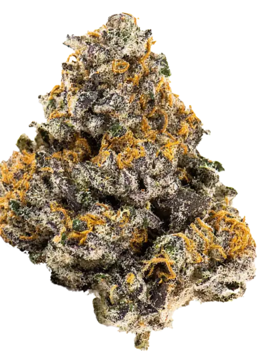 Grape Gelato