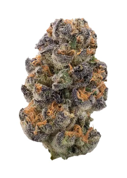 Sakura by LA Family Farms