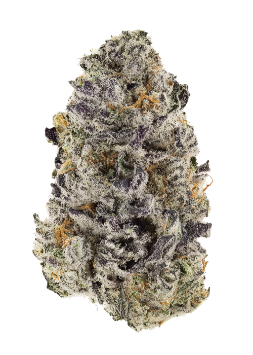 Cookie Dough by Team Elite