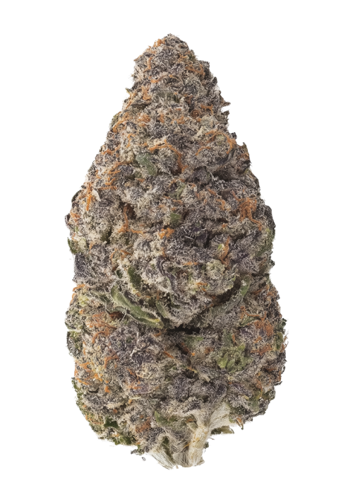 Sapphire Solstice