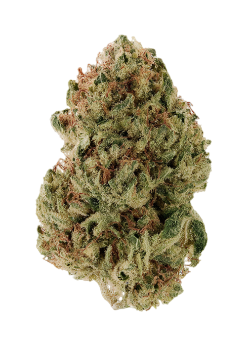 Sig Sour