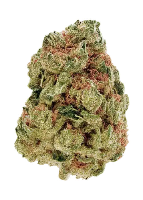 Sour Apple by Common Wealth
