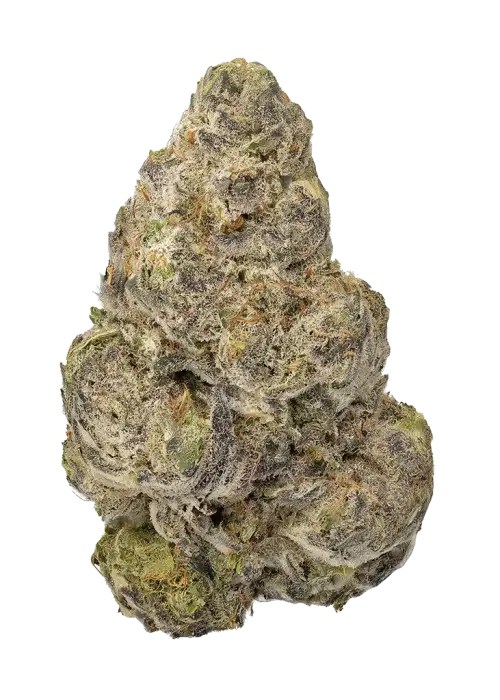 UV Sour