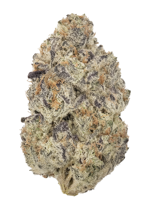 Berry Taboo