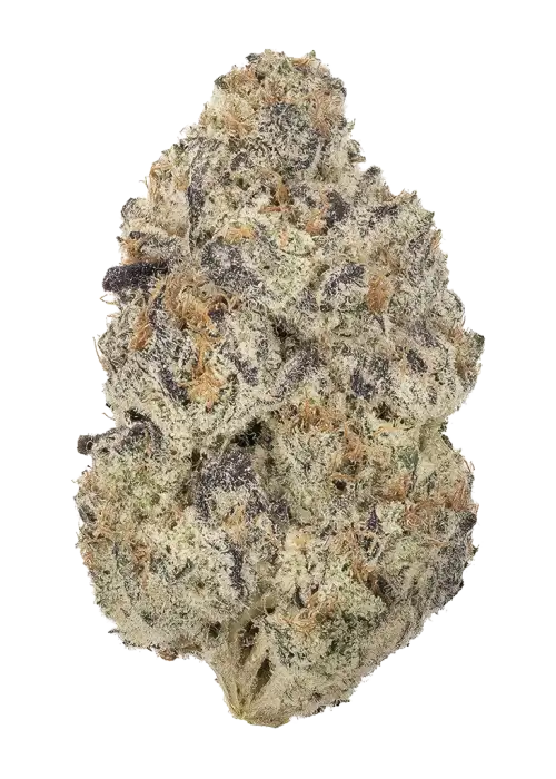 Berry Taboo