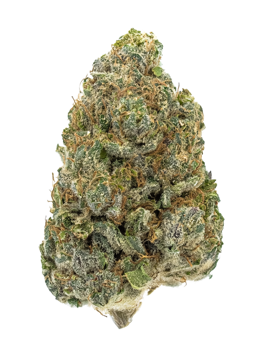 Redemption Indica