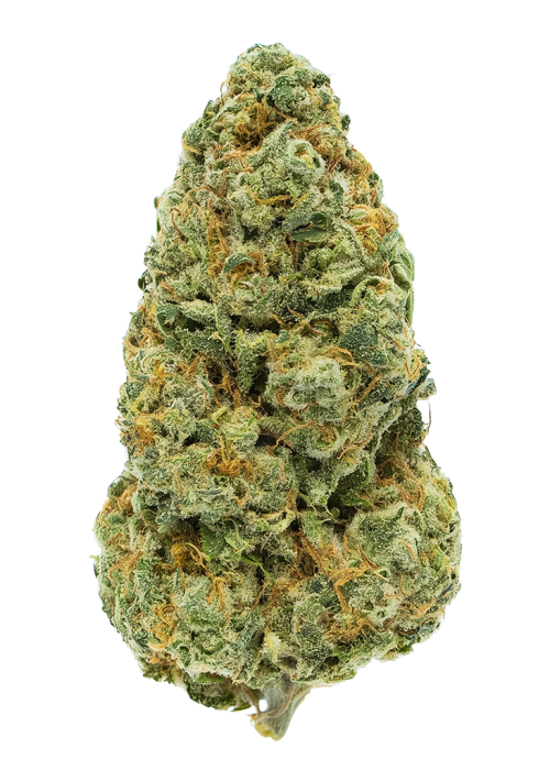 One Love Sativa