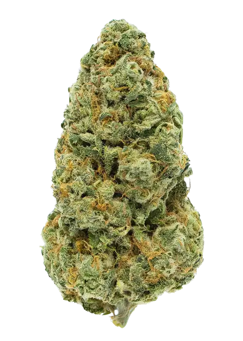 One Love Sativa