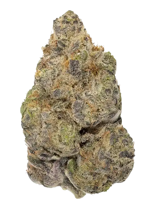 Mango Pie