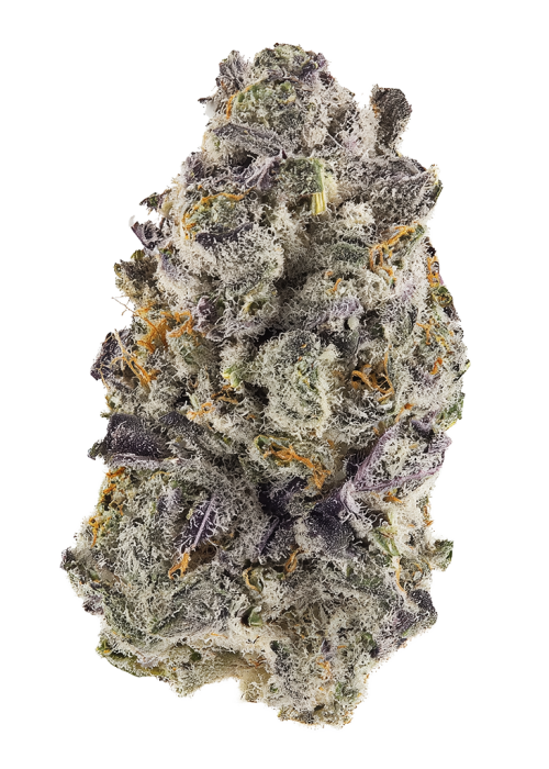Lemon Icee by Gotti