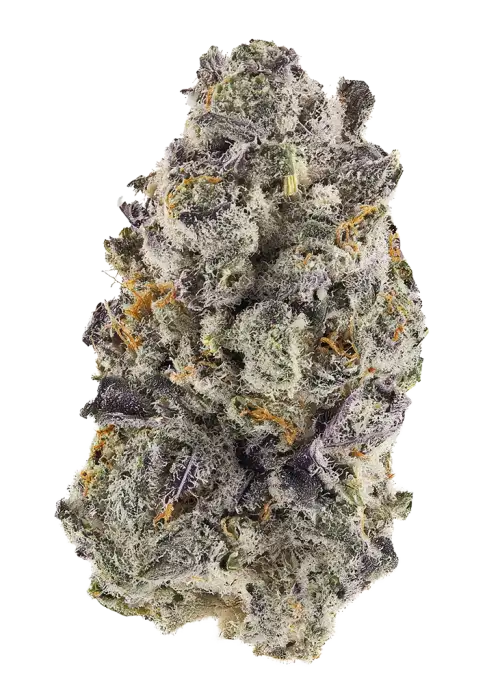 Lemon Icee by Gotti
