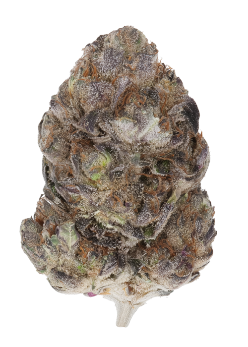 Bag O' Dosi