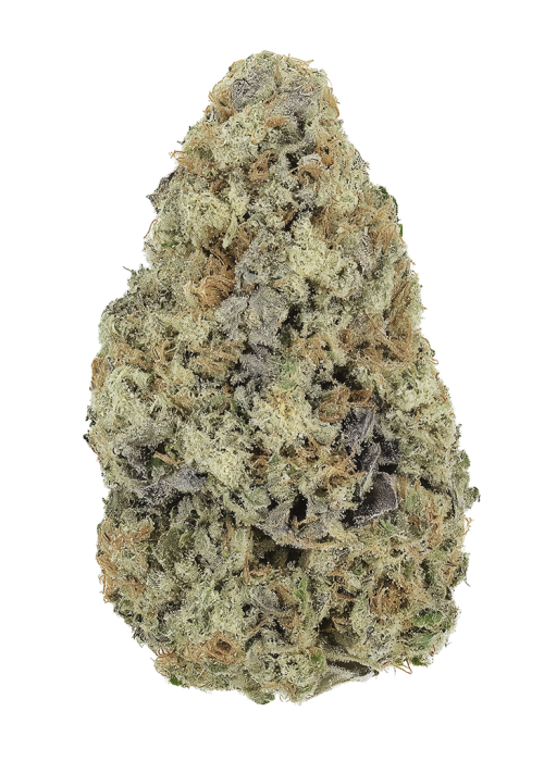 Z-Chew