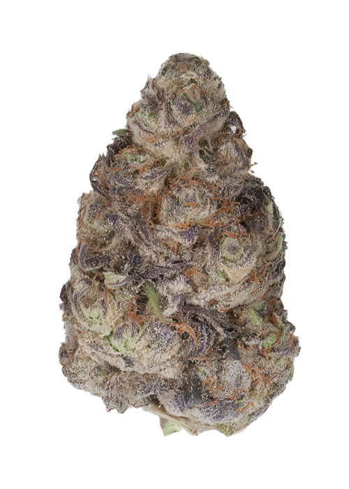 Happy Hour by Wizard Trees