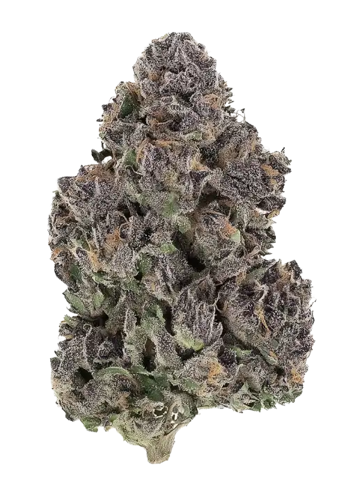 Sour Sherb by Karma