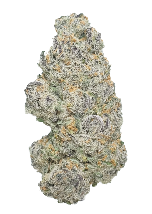 Sour Hayabusa