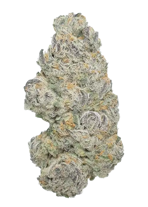 Sour Hayabusa