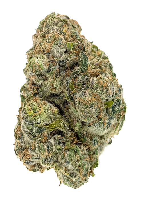 Fruity Bubbles