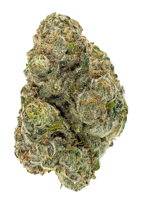 Fruity Bubbles