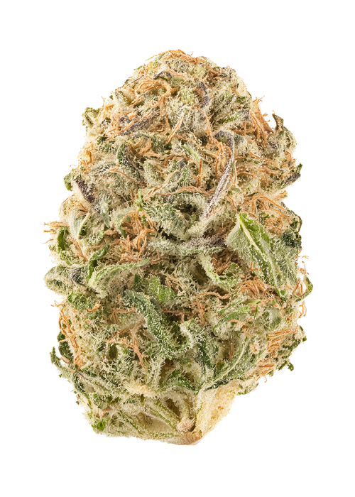 Lemon Z