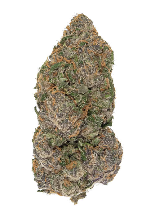 Cherry Rangoon