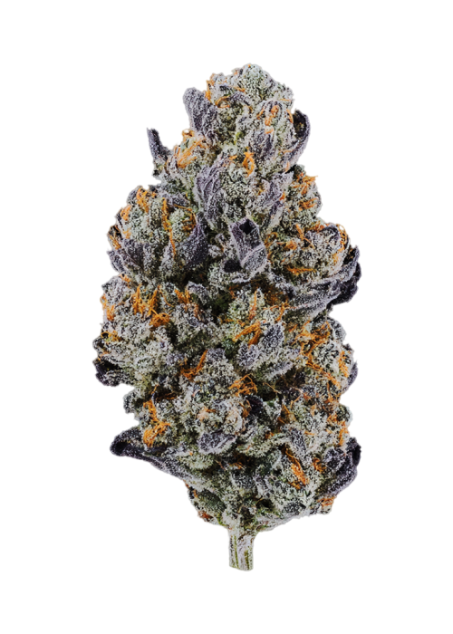 Fig OG