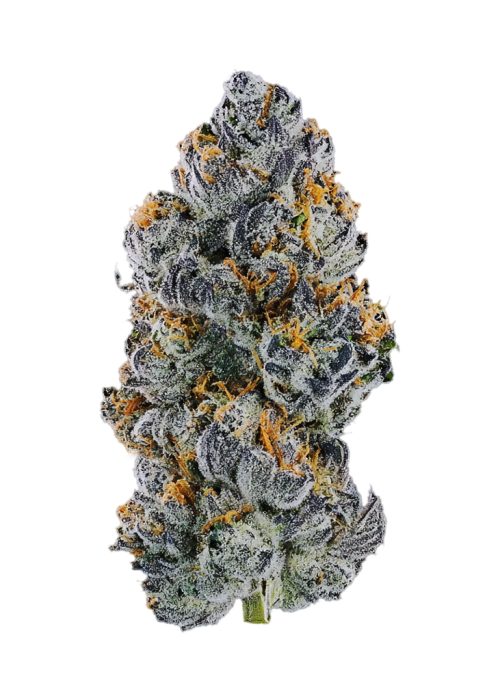 Funk Dip