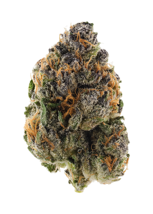 International Orange