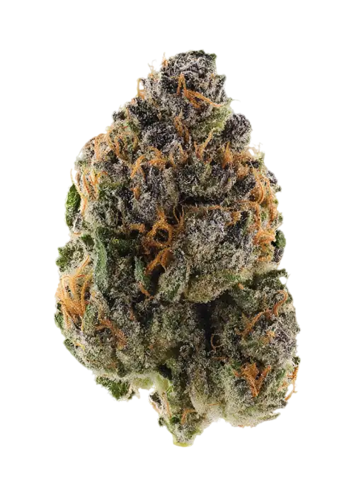 International Orange
