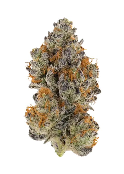 Krypto Nectarines