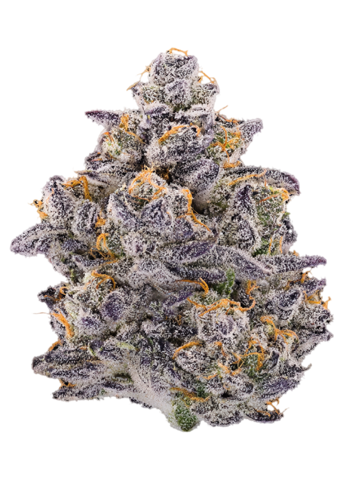 Lemon Cherry Face